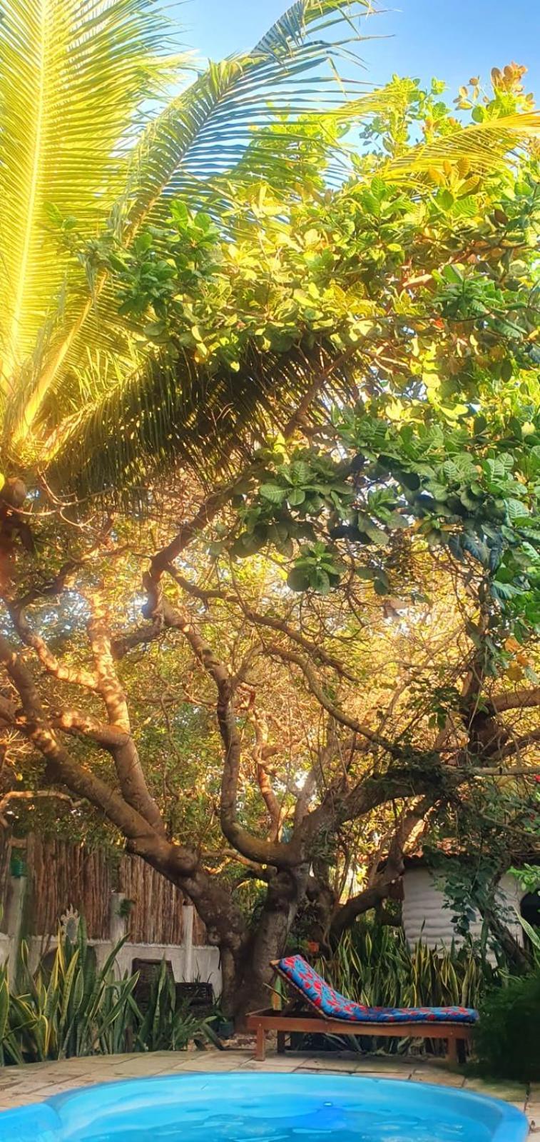 Pousada Jerimagia จีโจกา จี เจรีกวากวารา ภายนอก รูปภาพ